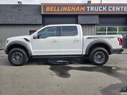 ford f-150 raptor 2019 1FTFW1RG8KFC71046 image ford f-150 raptor 2019 1FTFW1RG8KFC71046 image